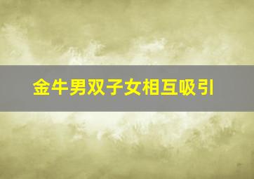 金牛男双子女相互吸引,金牛男双子女相处模式