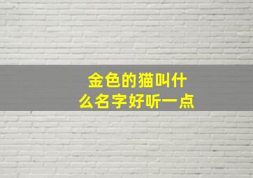 金色的猫叫什么名字好听一点,金色的猫起什么名字