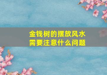 金钱树的摆放风水需要注意什么问题,金钱树的摆放风水禁忌