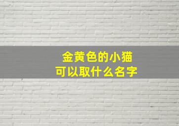 金黄色的小猫可以取什么名字