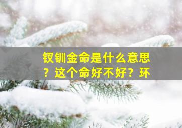 钗钏金命是什么意思？这个命好不好？环,钗钏金命 非常运势网