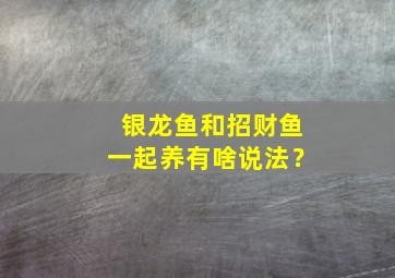 银龙鱼和招财鱼一起养有啥说法？,银龙鱼与招财鱼能在一块养吗?