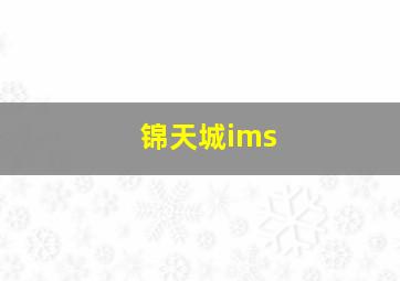 锦天城ims,锦天城IMS系统