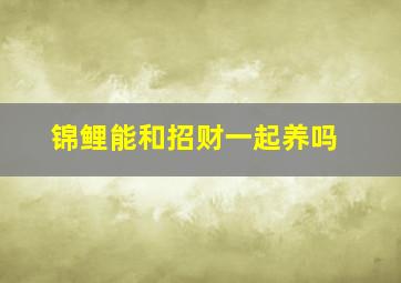 锦鲤能和招财一起养吗,锦鲤能和招财猫鱼混养吗