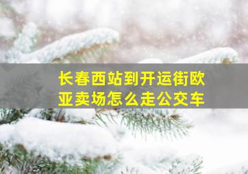 长春西站到开运街欧亚卖场怎么走公交车,长春西站到长春欧亚卖场打车多少钱