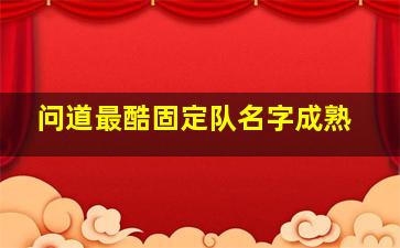 问道最酷固定队名字成熟,问道游戏有个性的固定队名字