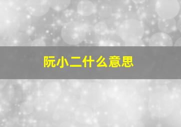 阮小二什么意思,阮小二什么意思?