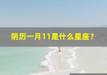 阴历一月11是什么星座？,阴历1月11日是什么