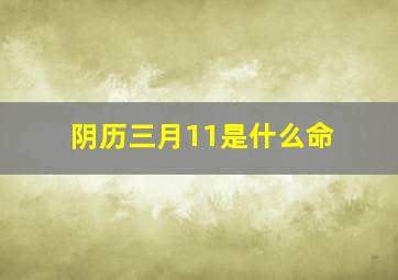 阴历三月11是什么命