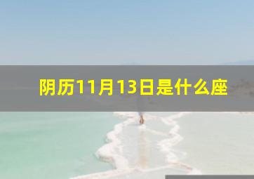 阴历11月13日是什么座,阴历生日11月13日是什么星座