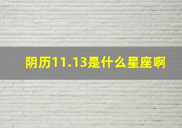 阴历11.13是什么星座啊,阴历11月13日是什么星座