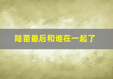 陆苗最后和谁在一起了,陆苗同款相机