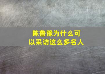 陈鲁豫为什么可以采访这么多名人,陈鲁豫怎么了