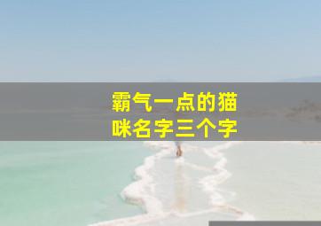 霸气一点的猫咪名字三个字,霸气一点的猫咪名字三个字女