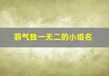 霸气独一无二的小组名,第二学习小组组名要霸气、有个性的