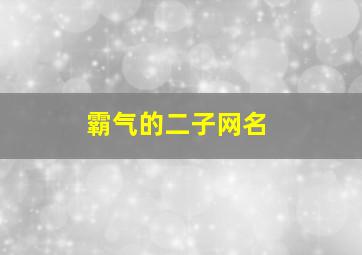 霸气的二子网名