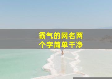 霸气的网名两个字简单干净,霸气点的网名两个字