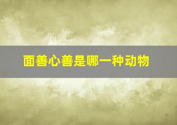 面善心善是哪一种动物,面善心不善的图片