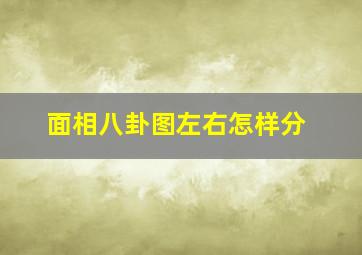 面相八卦图左右怎样分