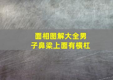 面相图解大全男子鼻梁上面有横杠,男人鼻梁上有一条横印