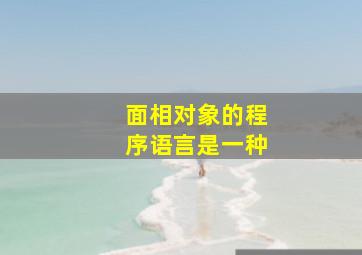 面相对象的程序语言是一种,面相对象的程序语言是一种什么