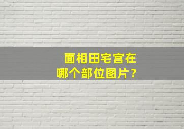 面相田宅宫在哪个部位图片？