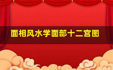 面相风水学面部十二宫图,面部十二宫图解详细