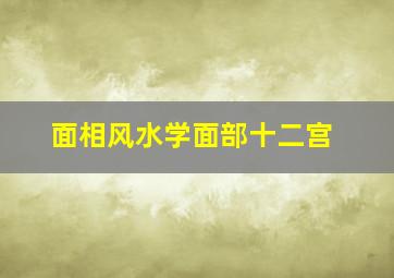 面相风水学面部十二宫,面相风水学面部十二宫图解