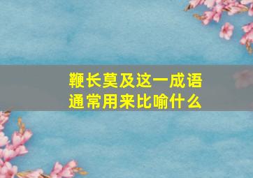 鞭长莫及这一成语通常用来比喻什么,鞭长莫及的意思是什么