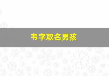 韦字取名男孩,韦取什么名字