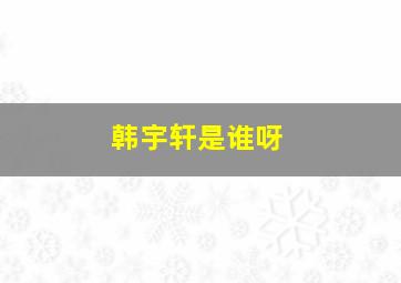 韩宇轩是谁呀,韩轩宇打多少分