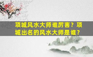 项城风水大师谁厉害？项城出名的风水大师是谁？,项城看风水的牛人