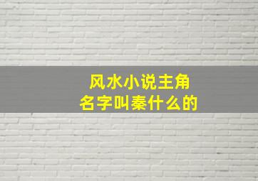 风水小说主角名字叫秦什么的,风水小说主人公姓秦