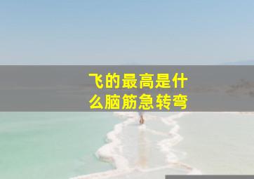 飞的最高是什么脑筋急转弯,脑筋急转弯及答案超级难