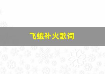 飞蛾补火歌词,飞蛾补火下一句是什么