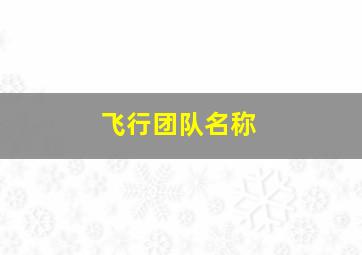 飞行团队名称,飞行小组名字