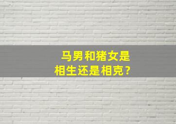 马男和猪女是相生还是相克？