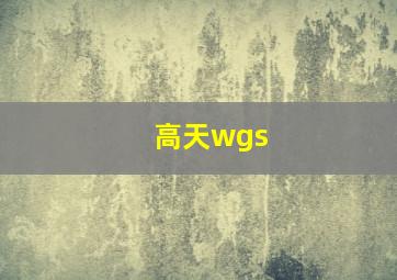 高天wgs,高天wgc3