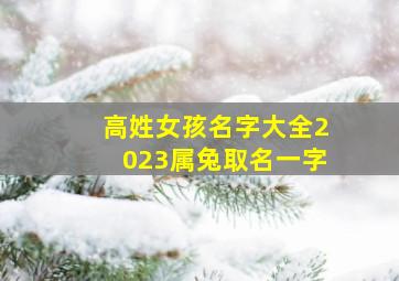 高姓女孩名字大全2023属兔取名一字,2023年属兔宝宝取名女孩好听有内涵取名大全