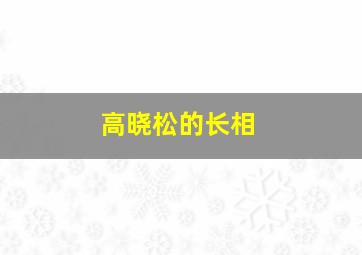 高晓松的长相