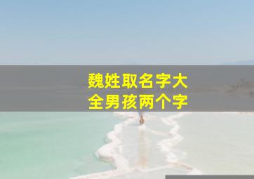 魏姓取名字大全男孩两个字,姓魏的男孩两个字