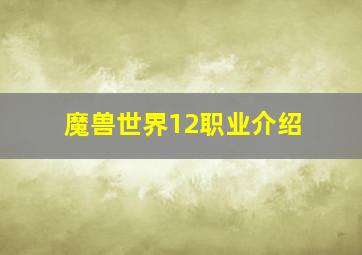 魔兽世界12职业介绍,魔兽世界职业介绍视频