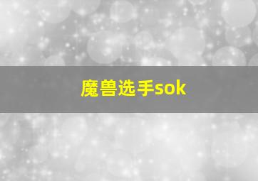 魔兽选手sok,魔兽选手soin简介