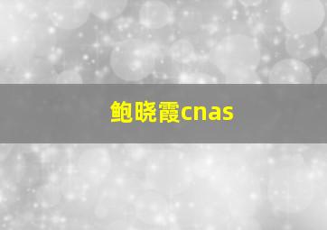 鲍晓霞cnas