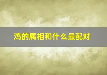 鸡的属相和什么最配对,鸡属相和什么属相合适