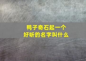 鸭子奇石起一个好听的名字叫什么,给像鸭子的石头取名字