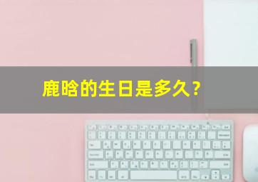 鹿晗的生日是多久？,鹿晗的生日是几月几日几日