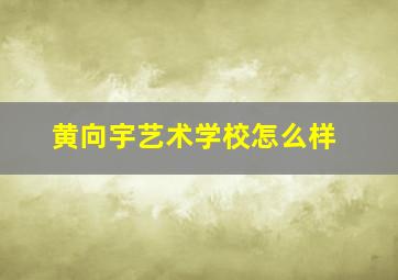 黄向宇艺术学校怎么样,新密市黄向宇艺术学校怎么样