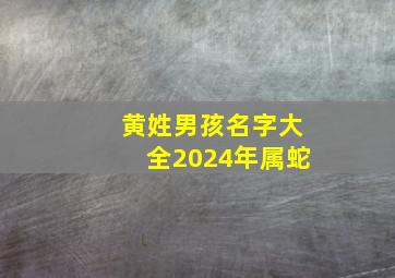 黄姓男孩名字大全2024年属蛇