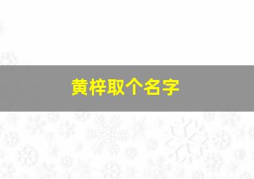 黄梓取个名字,黄梓轩这个名字好吗